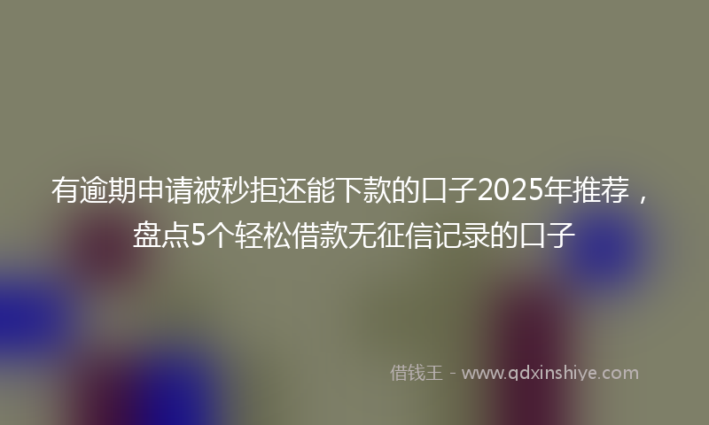 有逾期申请被秒拒还能下款的口子2025年推荐，盘点5个轻松借款无征信记录的口子