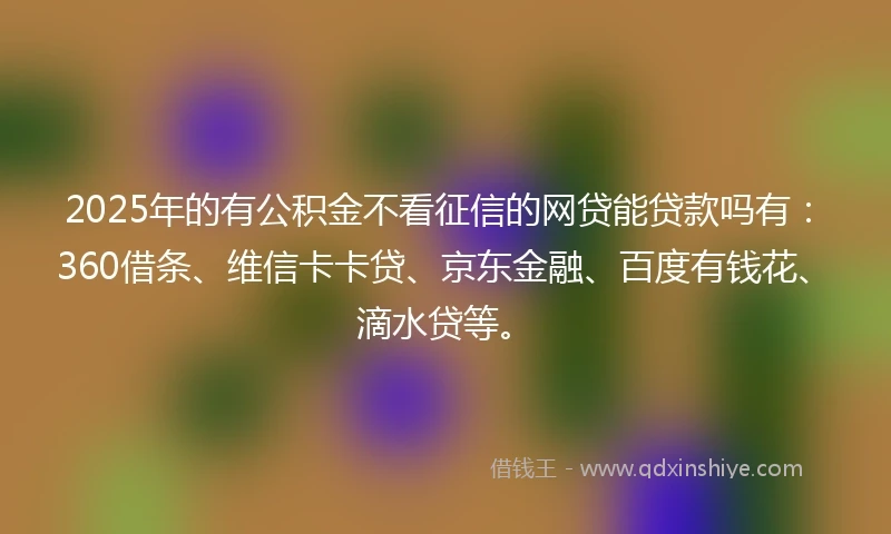 2025年的有公积金不看征信的网贷能贷款吗有：360借条、维信卡卡贷、京东金融、百度有钱花、滴水贷等。