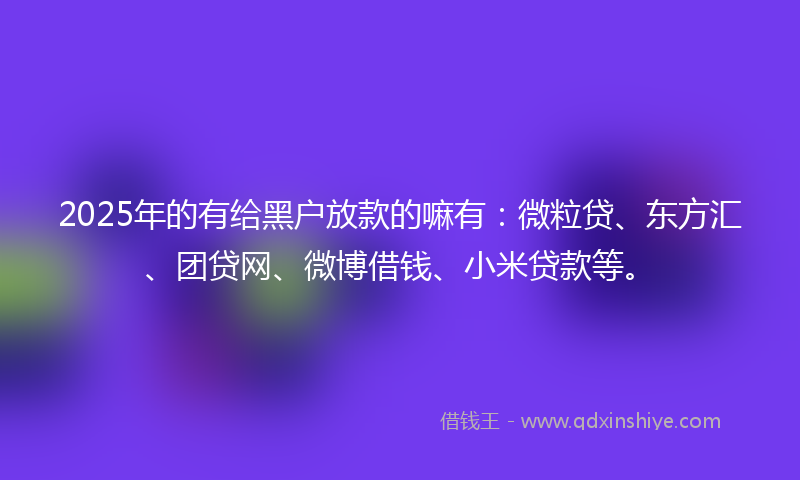 2025年的有给黑户放款的嘛有：微粒贷、东方汇、团贷网、微博借钱、小米贷款等。