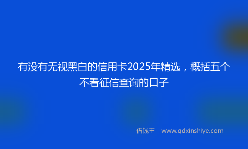 有没有无视黑白的信用卡2025年精选，概括五个不看征信查询的口子