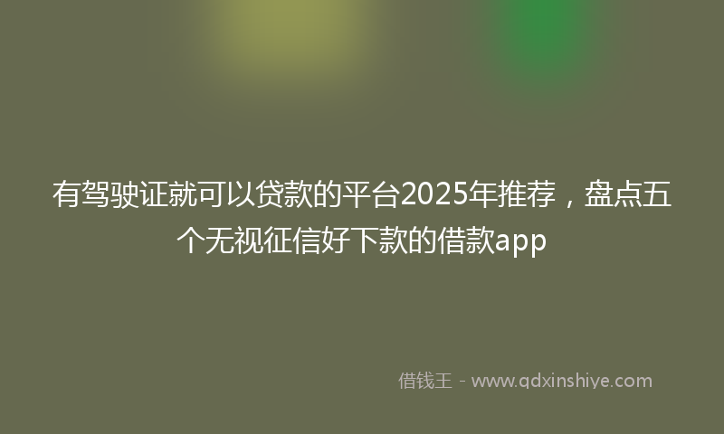 有驾驶证就可以贷款的平台2025年推荐，盘点五个无视征信好下款的借款app