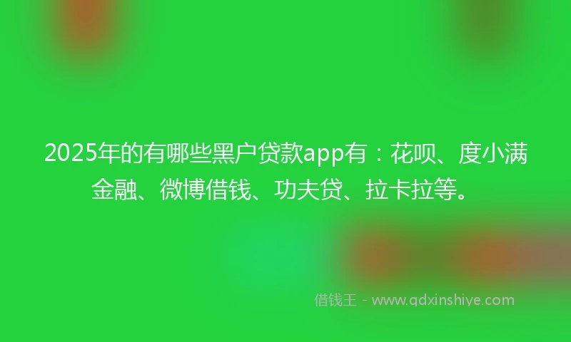 2025年的有哪些黑户贷款app有：花呗、度小满金融、微博借钱、功夫贷、拉卡拉等。
