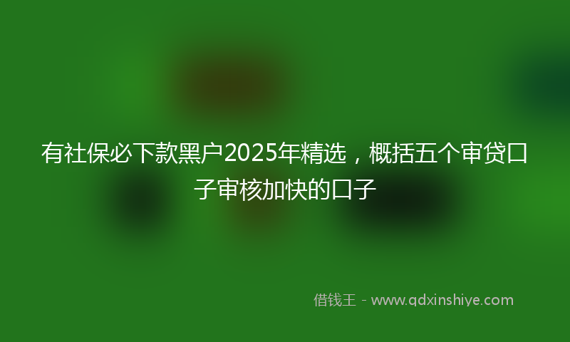 有社保必下款黑户2025年精选，概括五个审贷口子审核加快的口子