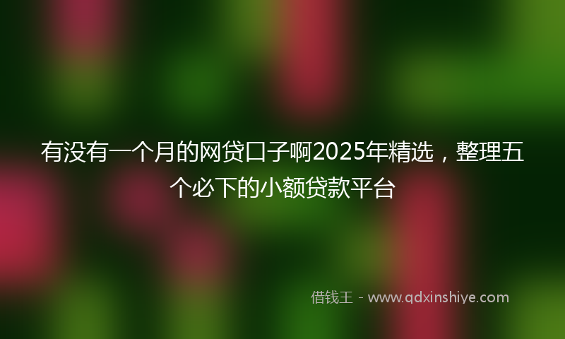 有没有一个月的网贷口子啊2025年精选，整理五个必下的小额贷款平台