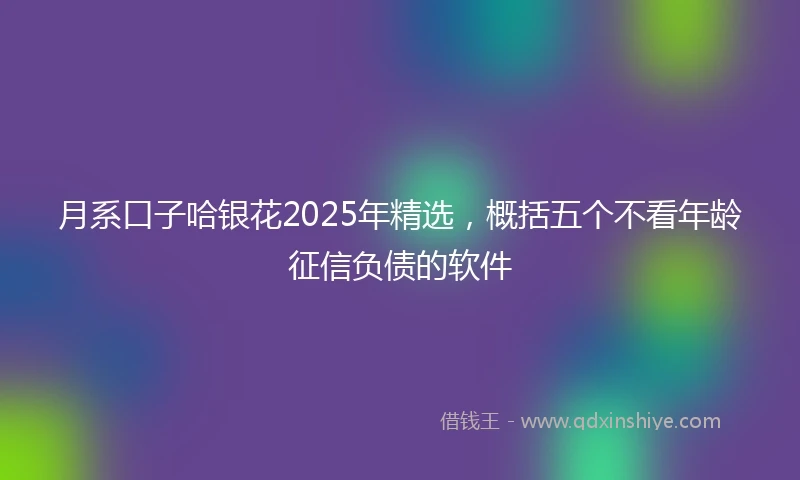 月系口子哈银花2025年精选，概括五个不看年龄征信负债的软件