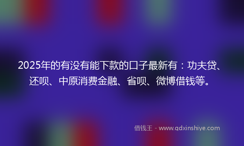 2025年的有没有能下款的口子最新有：功夫贷、还呗、中原消费金融、省呗、微博借钱等。