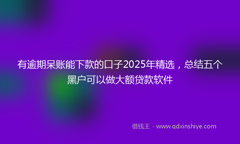 有逾期呆账能下款的口子2025年精选，总结五个黑户可以做大额贷款软件