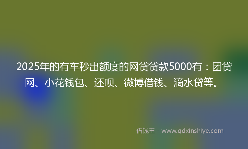 2025年的有车秒出额度的网贷贷款5000有：团贷网、小花钱包、还呗、微博借钱、滴水贷等。
