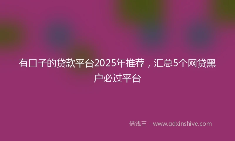有口子的贷款平台2025年推荐，汇总5个网贷黑户必过平台