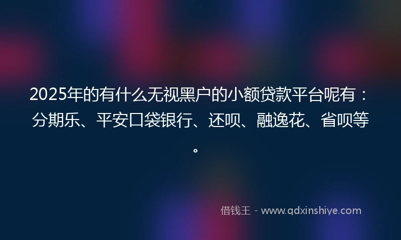 2025年的有什么无视黑户的小额贷款平台呢有：分期乐、平安口袋银行、还呗、融逸花、省呗等。