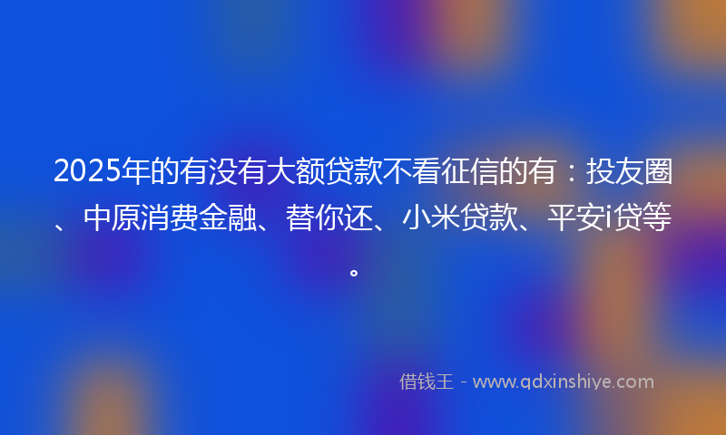 2025年的有没有大额贷款不看征信的有：投友圈、中原消费金融、替你还、小米贷款、平安i贷等。