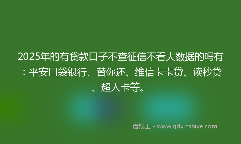 2025年的有贷款口子不查征信不看大数据的吗有：平安口袋银行、替你还、维信卡卡贷、读秒贷、超人卡等。