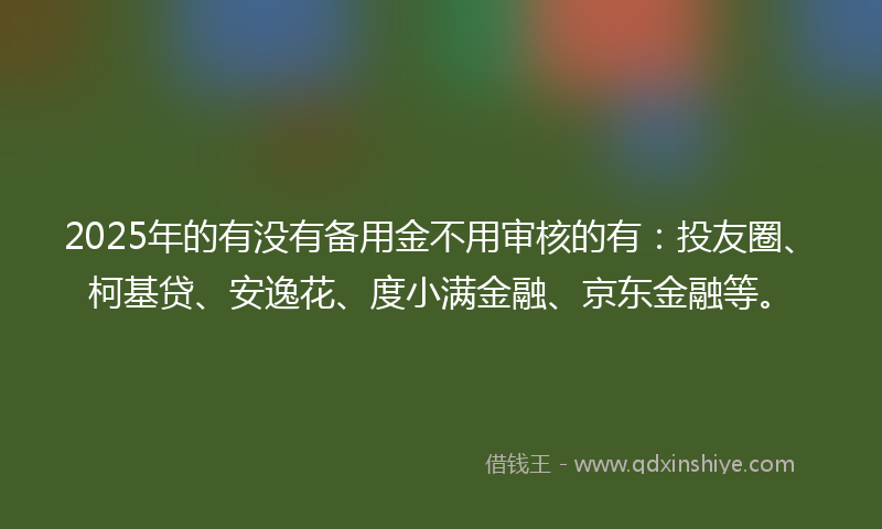 2025年的有没有备用金不用审核的有：投友圈、柯基贷、安逸花、度小满金融、京东金融等。