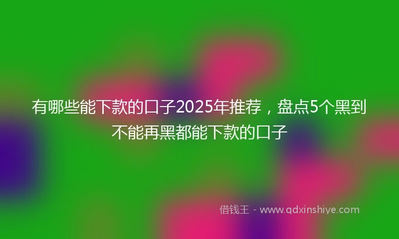 有哪些能下款的口子2025年推荐，盘点5个黑到不能再黑都能下款的口子