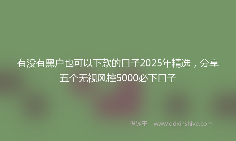 有没有黑户也可以下款的口子2025年精选，分享五个无视风控5000必下口子
