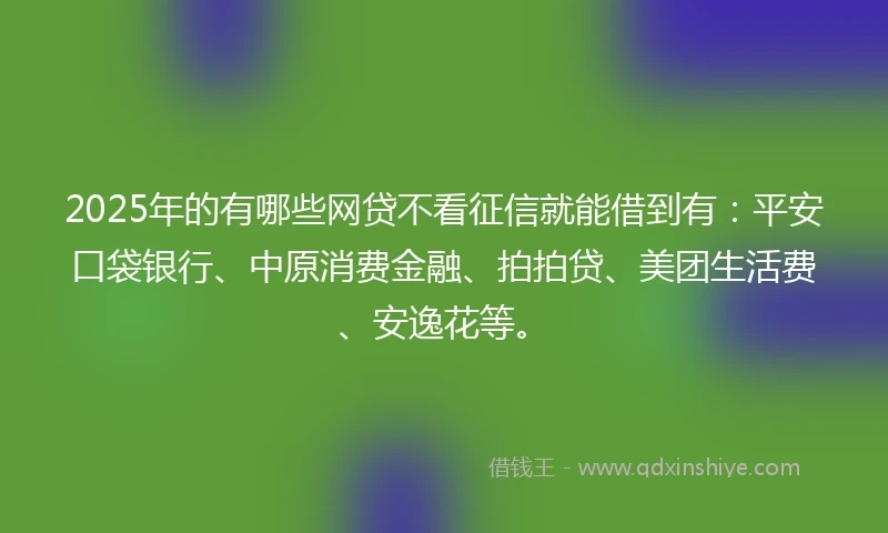 2025年的有哪些网贷不看征信就能借到有：平安口袋银行、中原消费金融、拍拍贷、美团生活费、安逸花等。