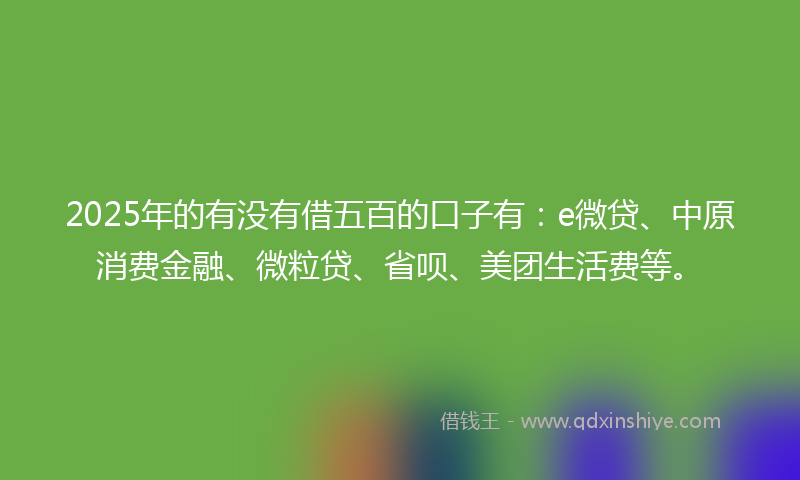 2025年的有没有借五百的口子有：e微贷、中原消费金融、微粒贷、省呗、美团生活费等。