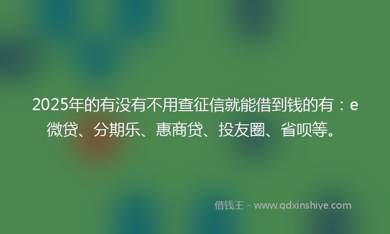 2025年的有没有不用查征信就能借到钱的有：e微贷、分期乐、惠商贷、投友圈、省呗等。