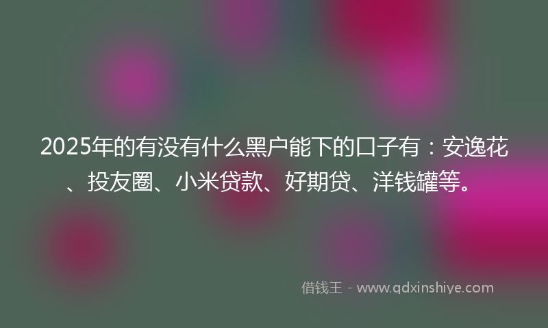 2025年的有没有什么黑户能下的口子有：安逸花、投友圈、小米贷款、好期贷、洋钱罐等。
