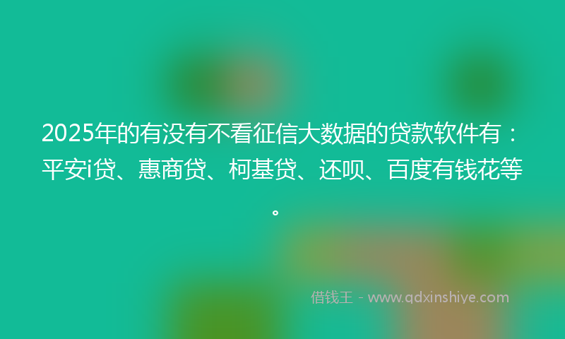 2025年的有没有不看征信大数据的贷款软件有：平安i贷、惠商贷、柯基贷、还呗、百度有钱花等。
