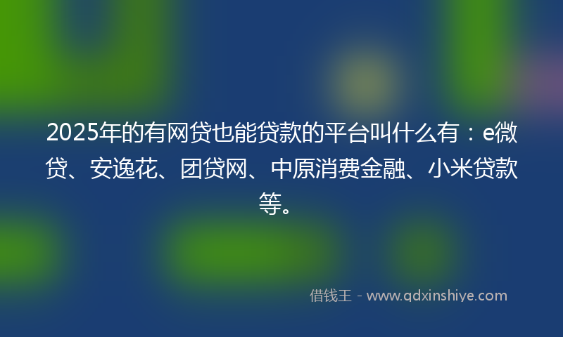 2025年的有网贷也能贷款的平台叫什么有：e微贷、安逸花、团贷网、中原消费金融、小米贷款等。