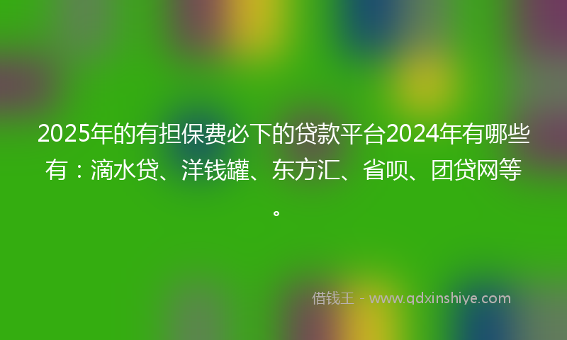 2025年的有担保费必下的贷款平台2024年有哪些有：滴水贷、洋钱罐、东方汇、省呗、团贷网等。