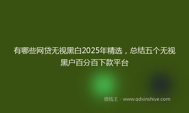 有哪些网贷无视黑白2025年精选，总结五个无视黑户百分百下款平台