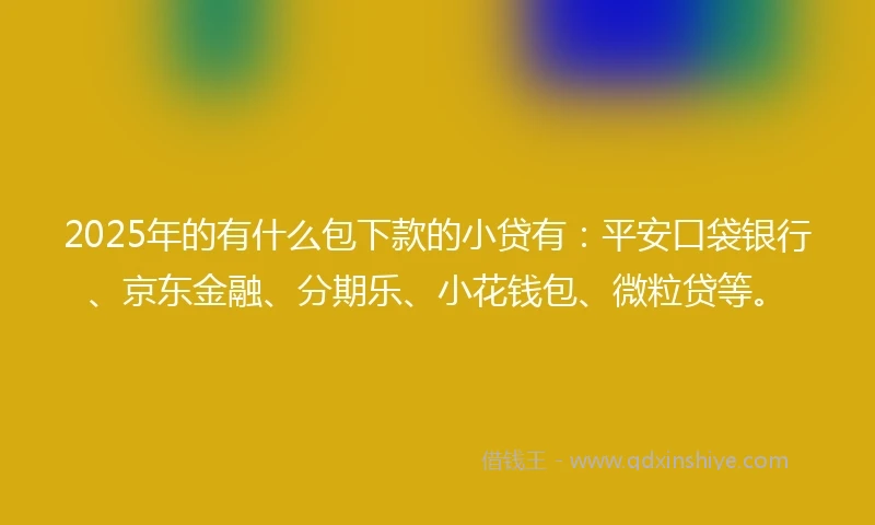 2025年的有什么包下款的小贷有：平安口袋银行、京东金融、分期乐、小花钱包、微粒贷等。