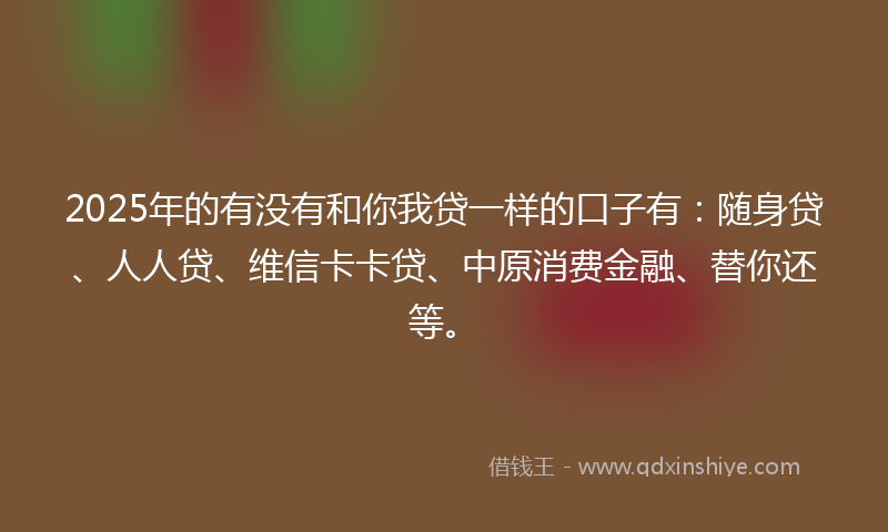 2025年的有没有和你我贷一样的口子有：随身贷、人人贷、维信卡卡贷、中原消费金融、替你还等。