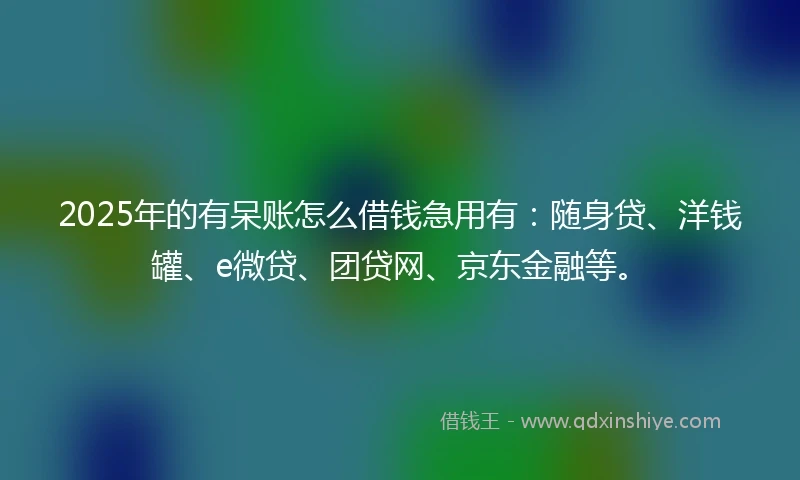 2025年的有呆账怎么借钱急用有：随身贷、洋钱罐、e微贷、团贷网、京东金融等。