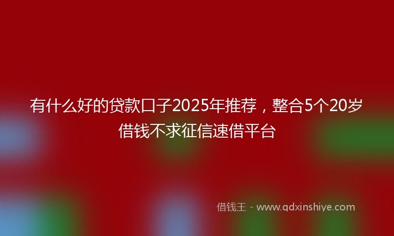 有什么好的贷款口子2025年推荐，整合5个20岁借钱不求征信速借平台