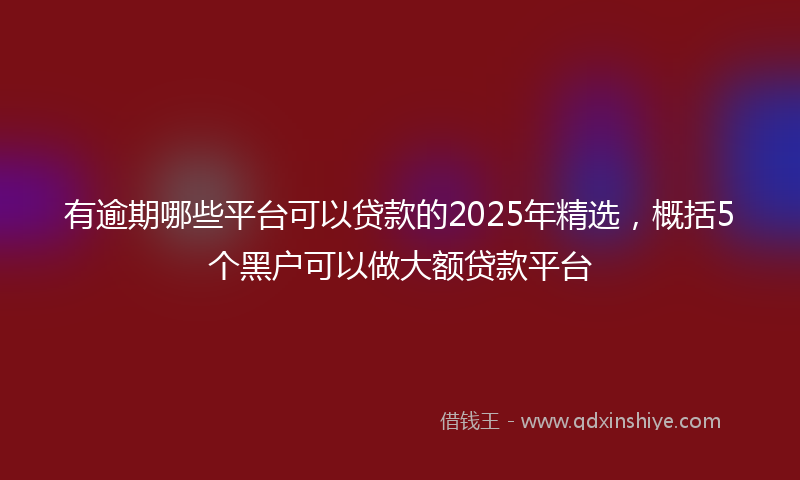 有逾期哪些平台可以贷款的2025年精选，概括5个黑户可以做大额贷款平台