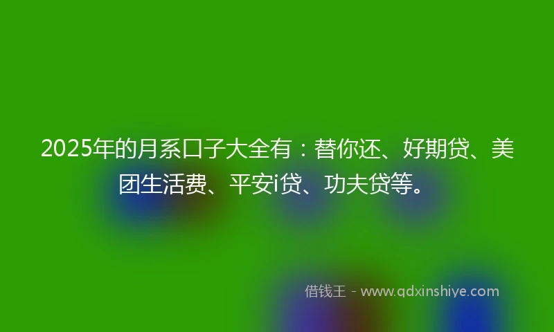2025年的月系口子大全有：替你还、好期贷、美团生活费、平安i贷、功夫贷等。