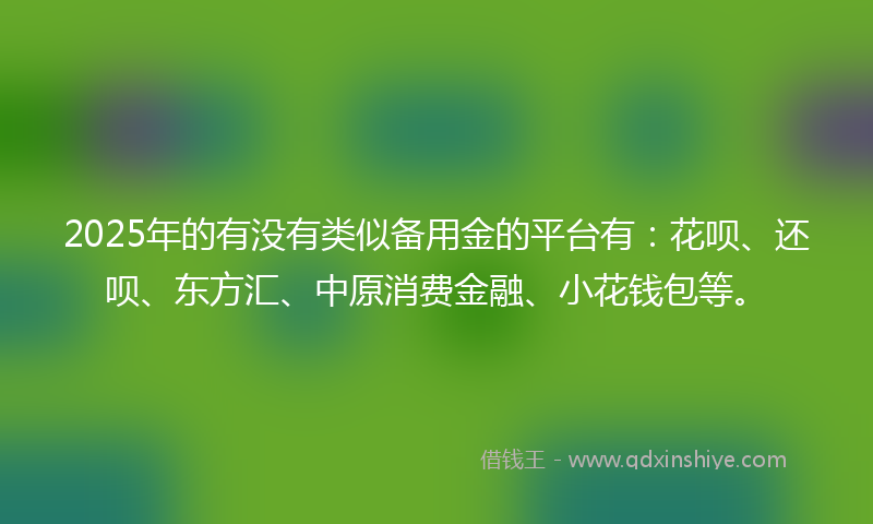 2025年的有没有类似备用金的平台有：花呗、还呗、东方汇、中原消费金融、小花钱包等。