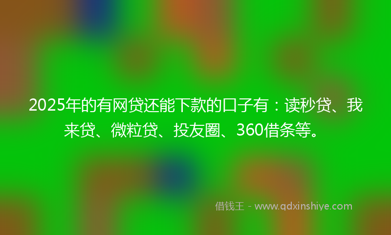2025年的有网贷还能下款的口子有：读秒贷、我来贷、微粒贷、投友圈、360借条等。
