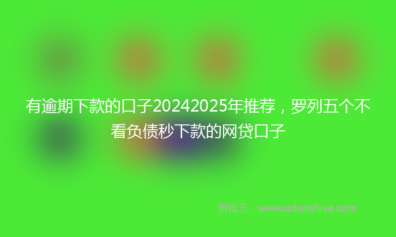 有逾期下款的口子20242025年推荐，罗列五个不看负债秒下款的网贷口子