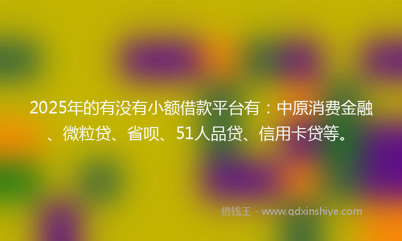 2025年的有没有小额借款平台有：中原消费金融、微粒贷、省呗、51人品贷、信用卡贷等。