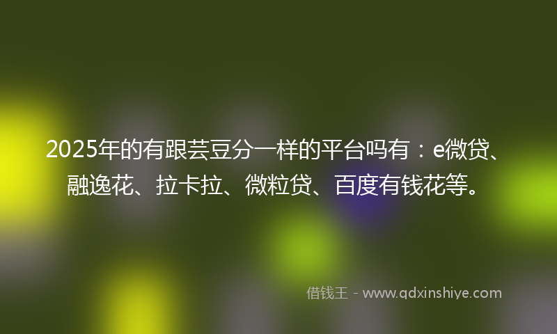 2025年的有跟芸豆分一样的平台吗有：e微贷、融逸花、拉卡拉、微粒贷、百度有钱花等。