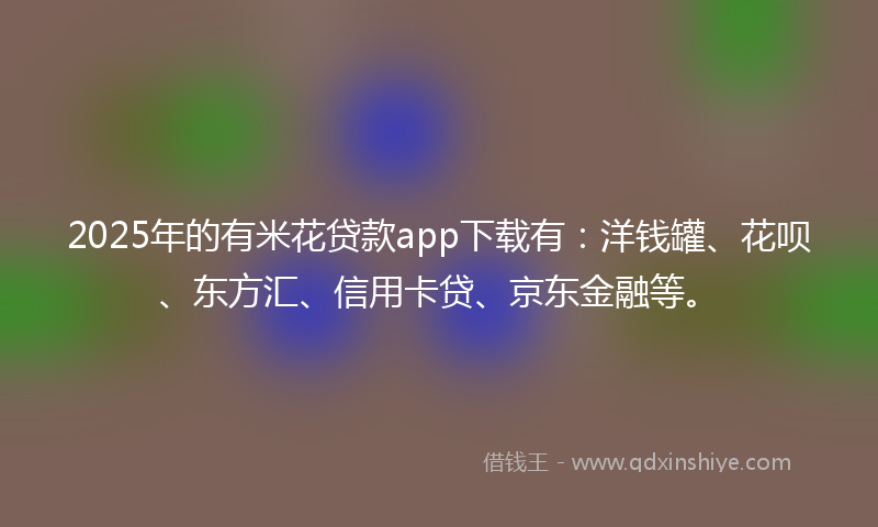 2025年的有米花贷款app下载有：洋钱罐、花呗、东方汇、信用卡贷、京东金融等。