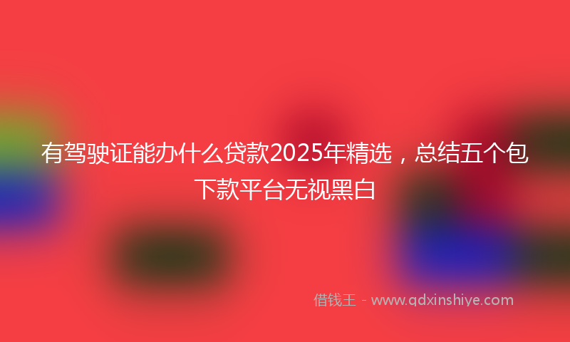 有驾驶证能办什么贷款2025年精选，总结五个包下款平台无视黑白