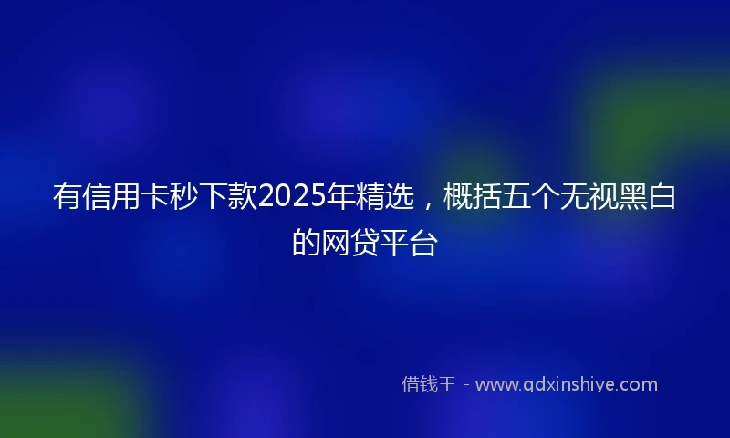 有信用卡秒下款2025年精选，概括五个无视黑白的网贷平台