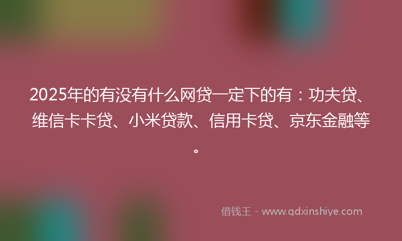 2025年的有没有什么网贷一定下的有：功夫贷、维信卡卡贷、小米贷款、信用卡贷、京东金融等。