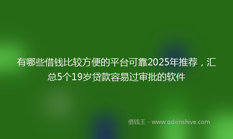 有哪些借钱比较方便的平台可靠2025年推荐，汇总5个19岁贷款容易过审批的软件