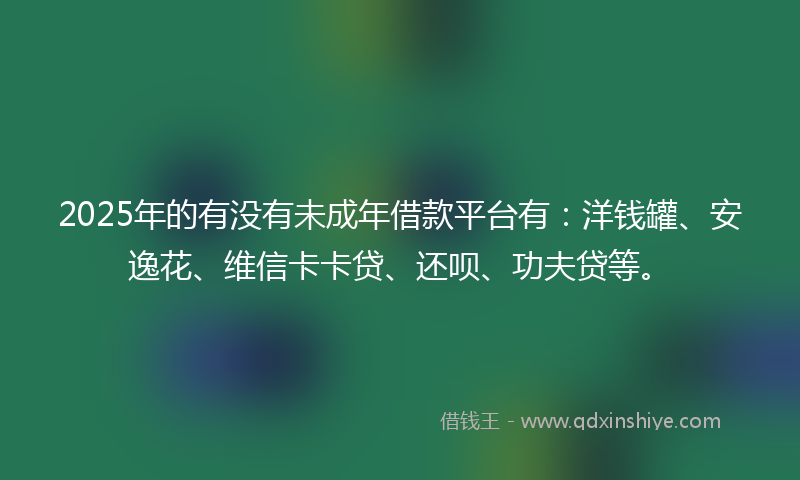2025年的有没有未成年借款平台有：洋钱罐、安逸花、维信卡卡贷、还呗、功夫贷等。
