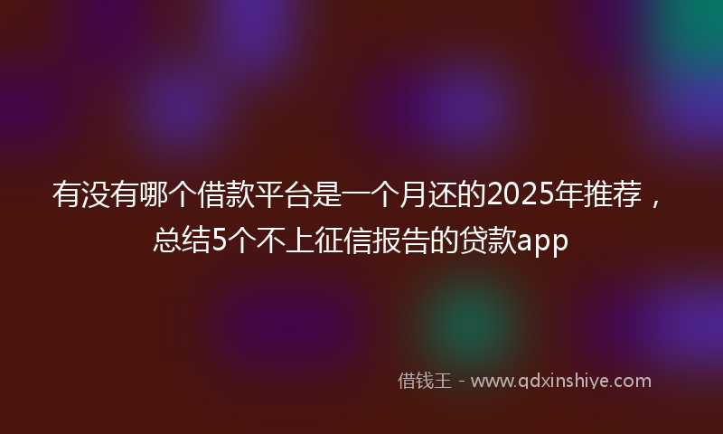 有没有哪个借款平台是一个月还的2025年推荐，总结5个不上征信报告的贷款app