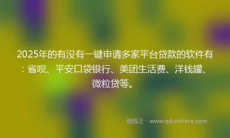 2025年的有没有一键申请多家平台贷款的软件有：省呗、平安口袋银行、美团生活费、洋钱罐、微粒贷等。