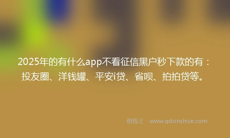 2025年的有什么app不看征信黑户秒下款的有：投友圈、洋钱罐、平安i贷、省呗、拍拍贷等。