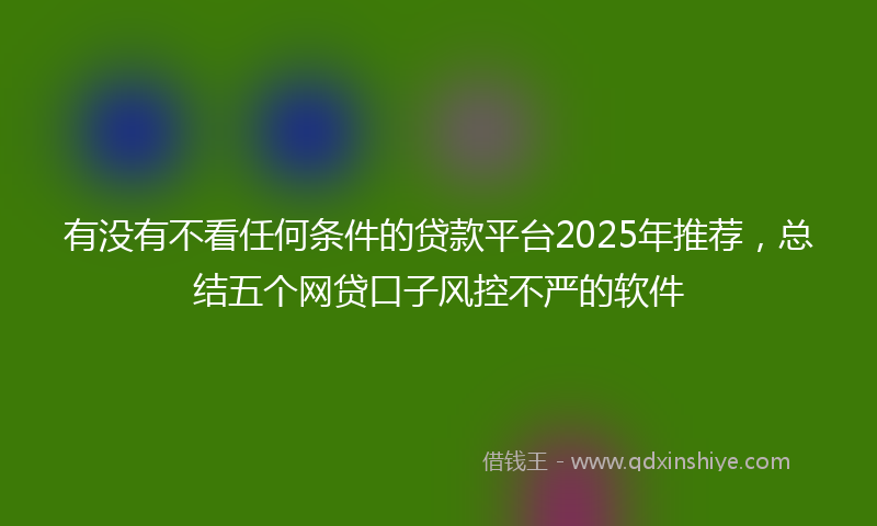 有没有不看任何条件的贷款平台2025年推荐，总结五个网贷口子风控不严的软件