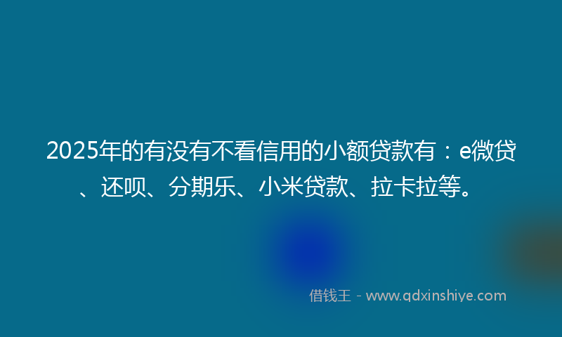 2025年的有没有不看信用的小额贷款有：e微贷、还呗、分期乐、小米贷款、拉卡拉等。