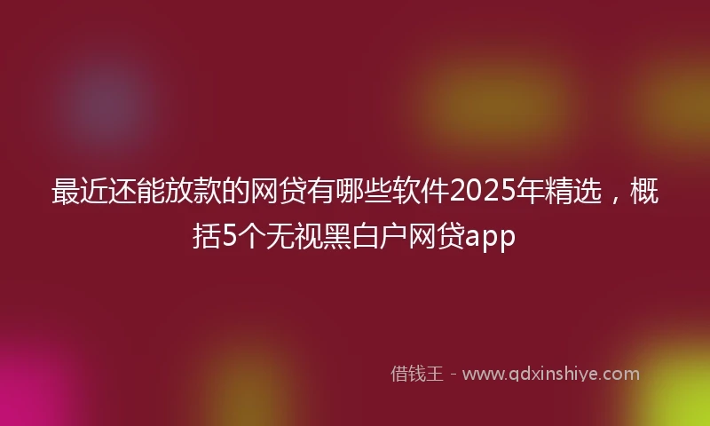 最近还能放款的网贷有哪些软件2025年精选，概括5个无视黑白户网贷app